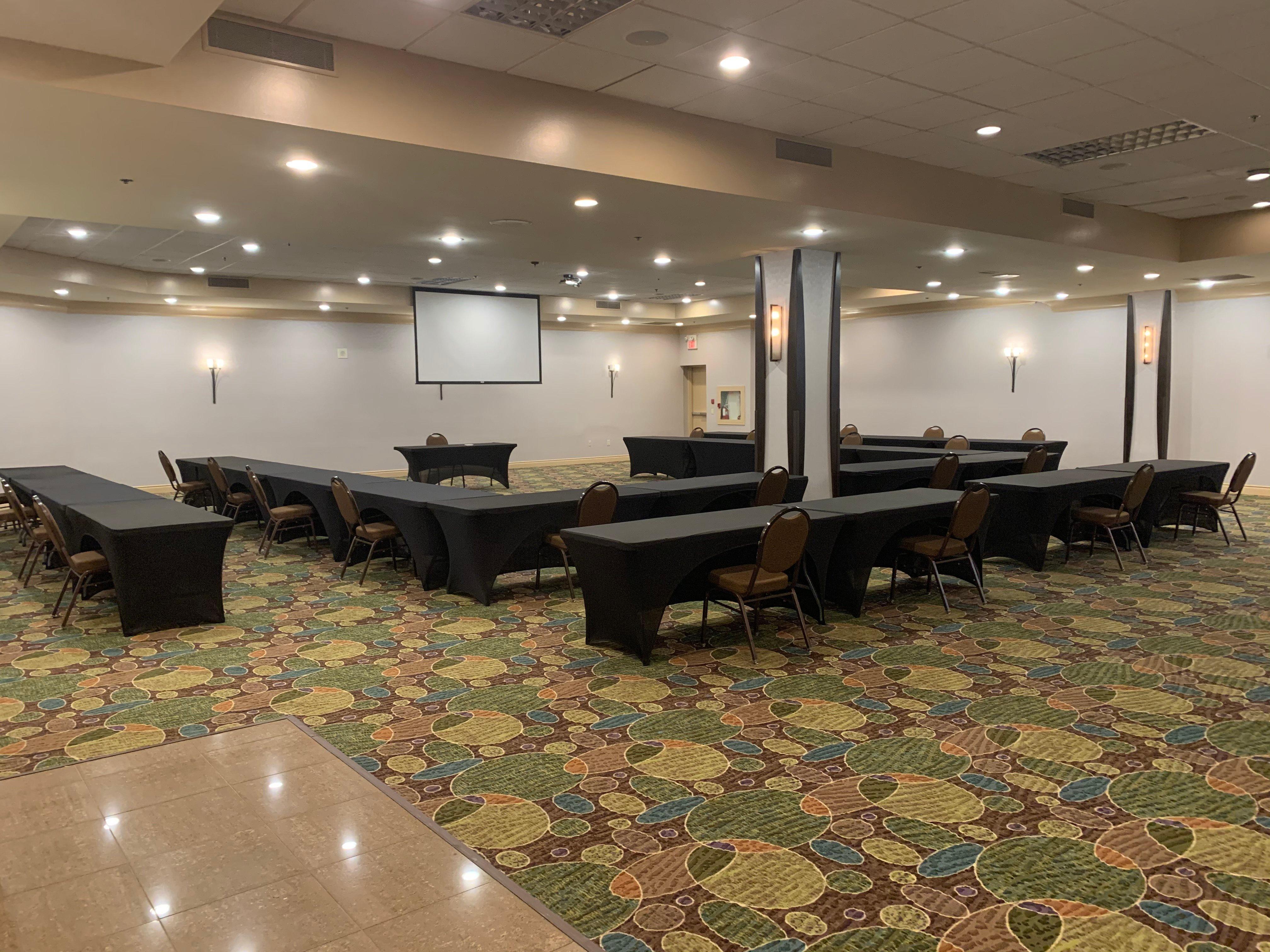 Holiday Inn Windsor - Ambassador Bridge By Ihg Exterior photo